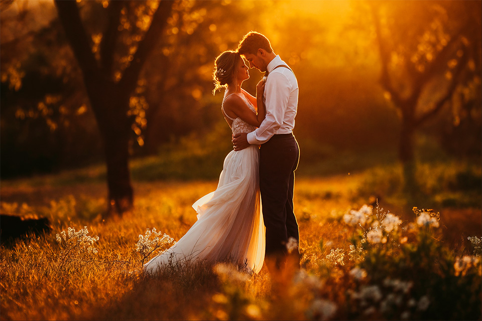 Wedding couple embracing in golden-hour light